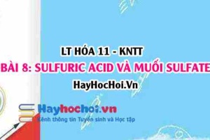 Tính chất hóa học, vật lí của Sulfuric Acid H2SO4, cấu tạo phân tử và ứng dụng của muối Sulfate? Hóa 11 bài 8 KNTT